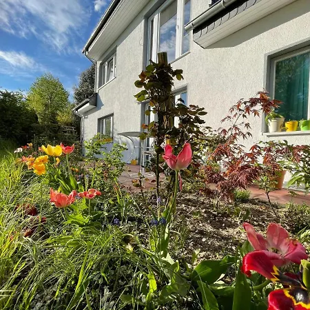 Dada 아렌스펠데