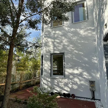 Dada * 아렌스펠데