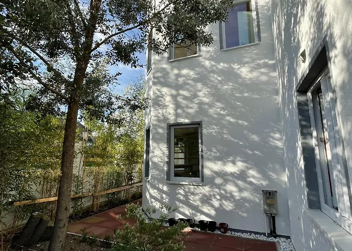 Dada * 아렌스펠데